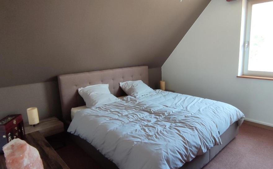 Le Strasbourgeois Apartment Illkirch-Graffenstaden Ngoại thất bức ảnh