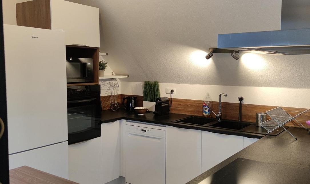 Le Strasbourgeois Apartment Illkirch-Graffenstaden Ngoại thất bức ảnh