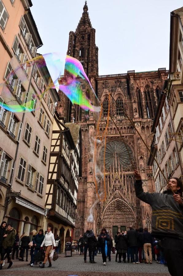 Le Strasbourgeois Apartment Illkirch-Graffenstaden Ngoại thất bức ảnh