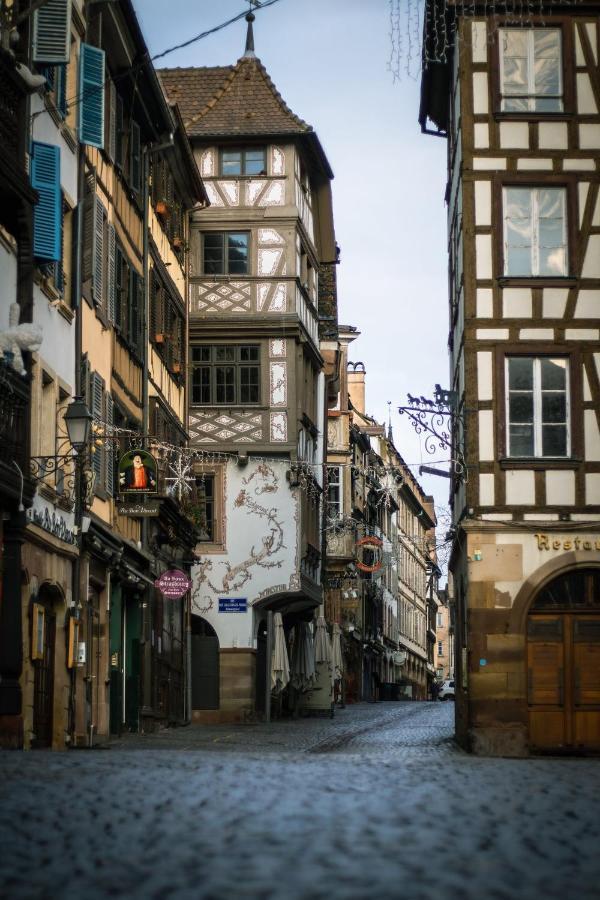 Le Strasbourgeois Apartment Illkirch-Graffenstaden Ngoại thất bức ảnh
