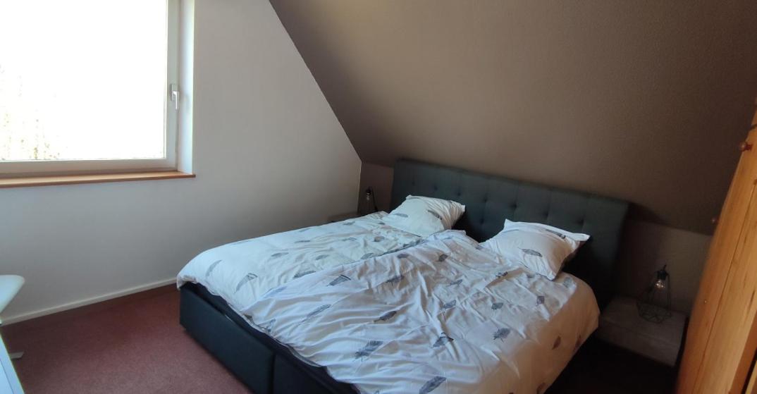 Le Strasbourgeois Apartment Illkirch-Graffenstaden Ngoại thất bức ảnh