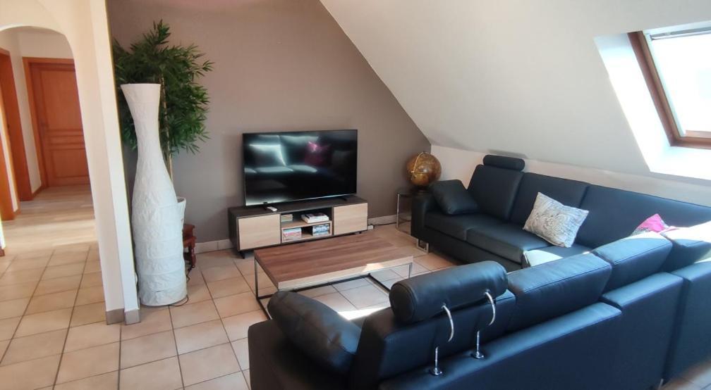 Le Strasbourgeois Apartment Illkirch-Graffenstaden Ngoại thất bức ảnh