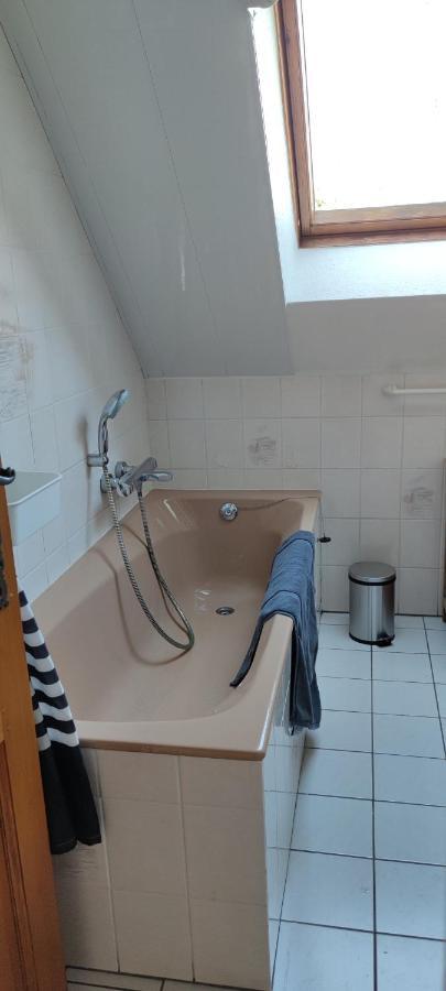 Le Strasbourgeois Apartment Illkirch-Graffenstaden Ngoại thất bức ảnh